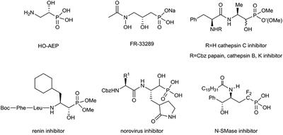 Highly Diastereoselective Construction of Carbon– Heteroatom Quaternary Stereogenic Centers in the Synthesis of Analogs of Bioactive Compounds: From Monofluorinated Epoxyalkylphosphonates to α-Fluoro-, β-, or γ-Amino Alcohol Derivatives of Alkylphosphonates